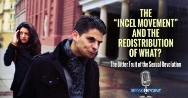 The “Incel Movement” and the Redistribution of Sex?