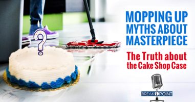 Myths about Masterpiece - The Truth about the Cake Shop Case