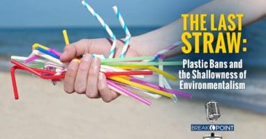 The Last Straw - Plastic Bans and the Shallowness of Environmentalism