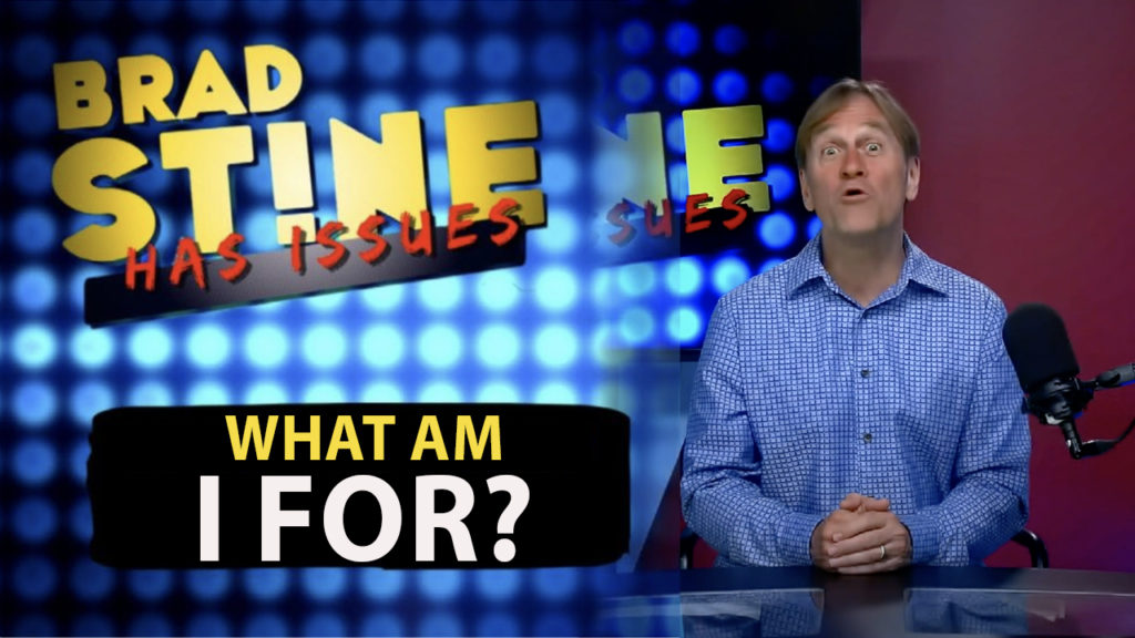 Brad Stine Has Issues: What Am I For?